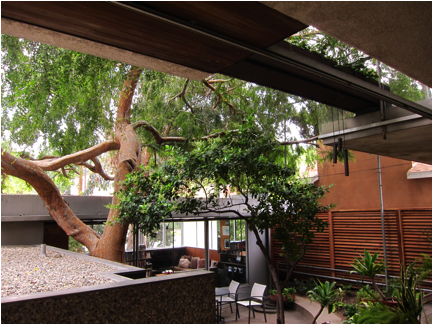 Description: Macintosh HD:Users:ming-chiehma:trips:2011EXCHANGE TO CALPOLY:pic:0424 Neutra:IMG_4099.JPG